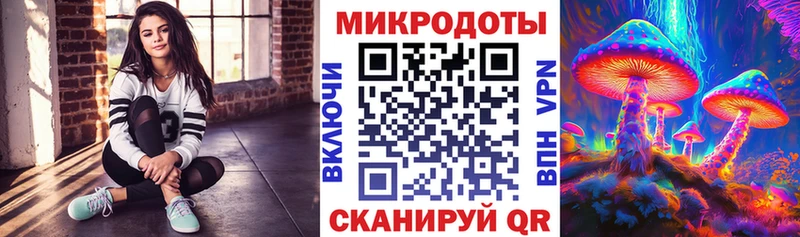 kraken вход  Невьянск  Галлюциногенные грибы Cubensis 